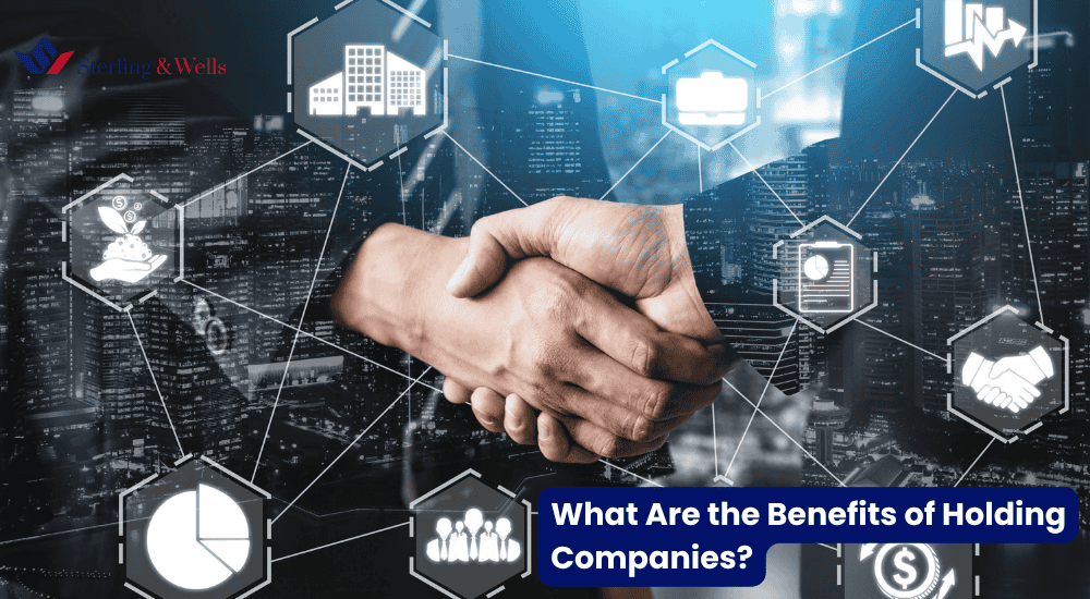 What Are the Benefits of Holding Companies?